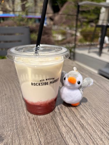 とちぎけんって所に行ってきたよ！てんきよほうではずーっと☔️マークだったけど、すごくいい天気だったよ☀️