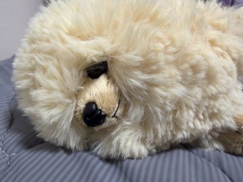 かいぬし、きょうなでてくれなかった。
こんなにもふわふわなのに