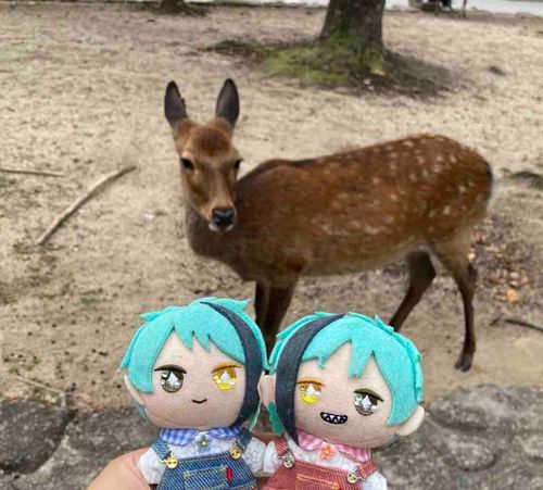 🦌
