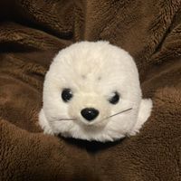 ごまちゃん