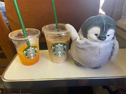 おでかけ！わくわく！🐧