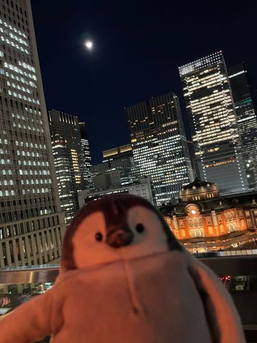 ペンちゃんと東京駅🐧