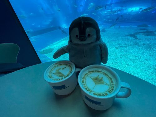 沖縄に行ってきたぺん！
綺麗な海にお魚さんがいっぱいだったペン🐧🐠