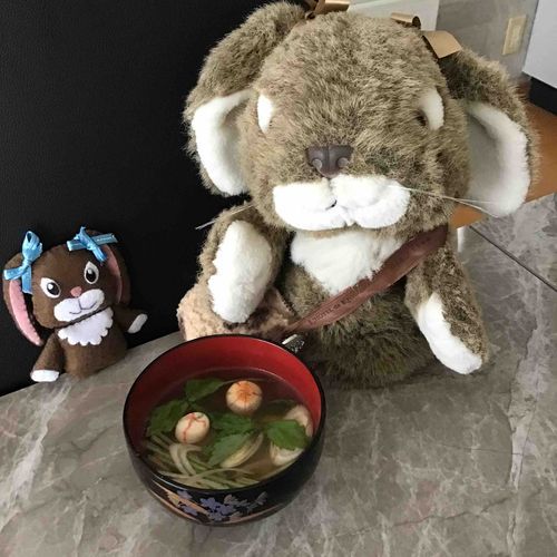 明けましておめでとう🎍
お雑煮頂きまーす