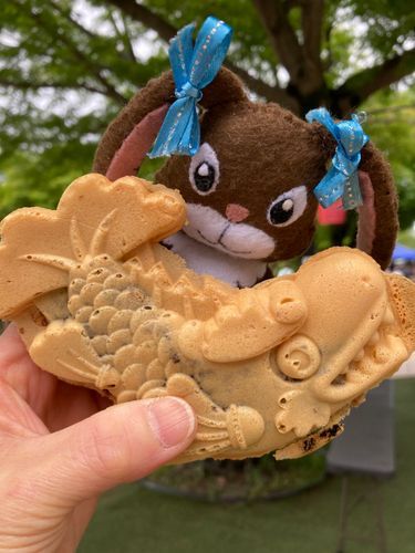 金鯱焼き。どこから食べる派❓僕はシッポから