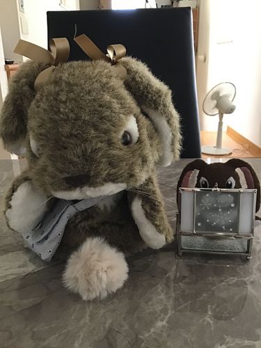 うさ坊からもらったんだけどこれは何❓