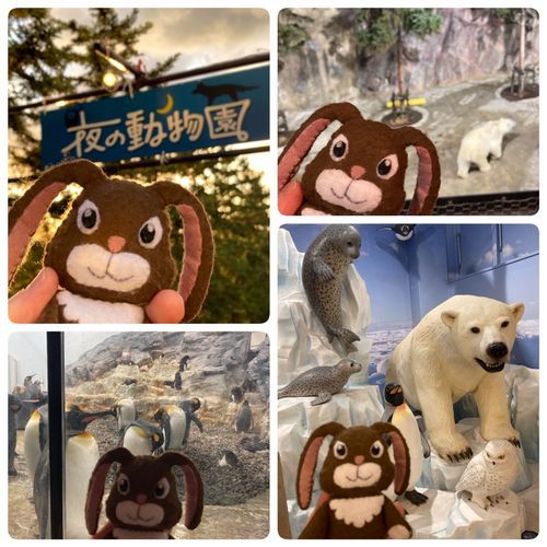 夜に動物園に来たのは初めて。昼間と違って日本語がいっぱい飛び交ってたよ