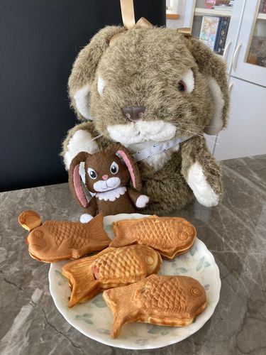 うさ公「たい焼きだ！めで鯛！なんかのお祝い？」
うさ坊「お母さんが、ゴールドが蘇ったお祝いって言ってたよ」
うさ公「よくわかんないけどまあ〜いいか。一尾だけ頭にたんこぶあるね」
うさ坊「それにはふれないでだって」
うさ公「気になる・・・」