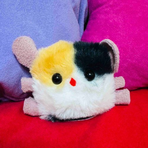 まいにちのんびりしあわせ
ふわっふわの毛とつぶらな瞳がじまんのもきゅです
だいすきなお友だちも紹介していくね