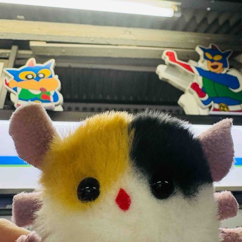 わーっはっはっは！
すーぱーひーろー もきゅ！さんじょう！