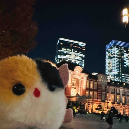 とう！きょう！
きらきら〜✨
