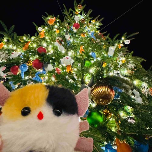 またまた くりすますつりー！🎄
きらきら だいすきっ 💖