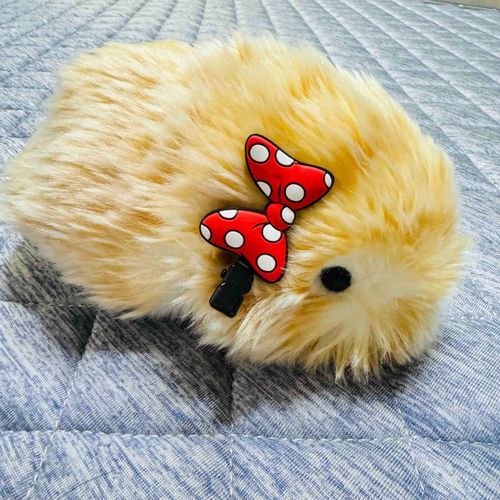 でぃずにー いく じゅんび できた🎀
...え？ いく よてい ないの？