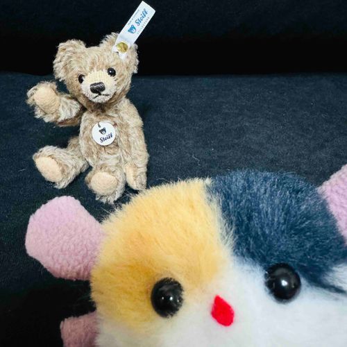 ご主人ー！なんか 貴族 みたいな くまさん が いるよ！！
え？ご主人 が ひとめぼれ して 連れてきたの？
うんめい って いうやつ かぁ♡