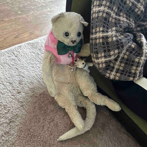 隣に座らせると当たり前のように腕を組んでくるしーちゃん