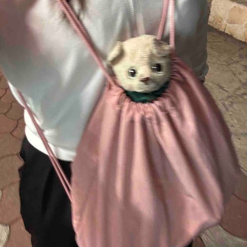 ブレブレしーちゃん
石垣島をお散歩中