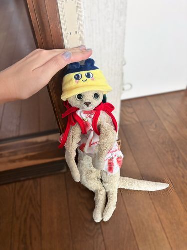 久々に開いたらプロフィール登録できるようになってたから身長測ろうねー！でも帽子は脱がなきゃダメだよしーちゃん