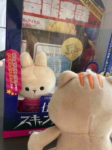 箱入りうさちゃん！
ママさん、早く出してあげましょう！
