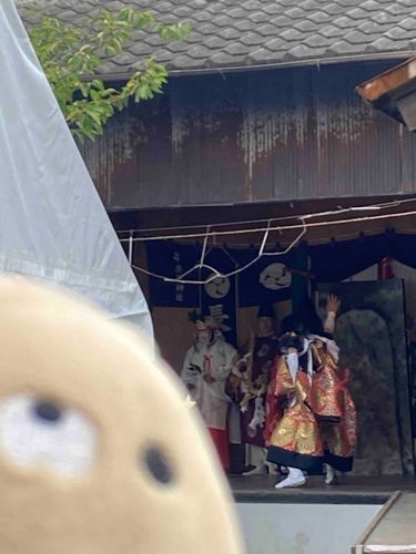 浜の市行きました。ママさんは御神楽が大好きなので大喜びです。
僕は台風と暑さが落ち着きますようにとお参りしてきたよ。