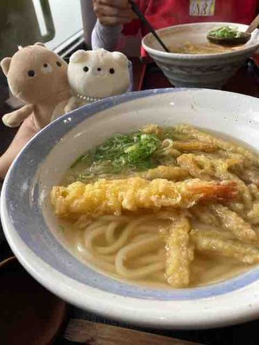 ママさんの大好きな鳴門うどんに行ってきました。
このために帰省したくらいだよって言ってます。そんなこと言わないでママさんのママさんと仲良くして🐈💦