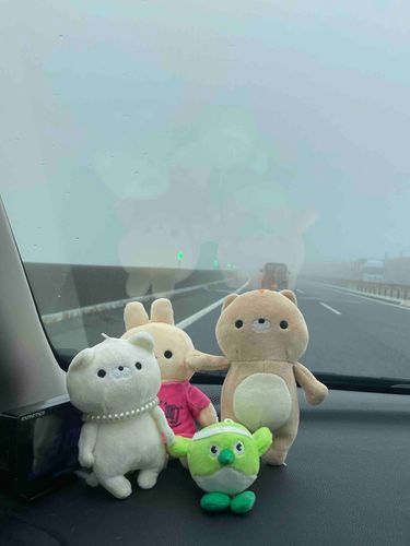 大分(おおいた)とはどういう経緯でつけられたか、ご存知ですか。
ママさんが社会の授業で習ったのは「山と川が多く、土地が幾つにも分けられているから」という内容だったそうですよ。でも天皇陛下が大分ってつけたっていうのが有力みたいですね。あれれ？
