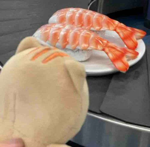 空港の荷物受け取りレーンでは、おっきなお寿司が回っていました。
こんなに大きな🦐！初めて見ましたよ。