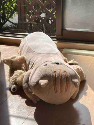 今日もぽっかぽか。