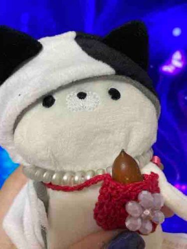 パパさんがどんぐりをくれたよ。
僕も今度拾いに行こうかな！