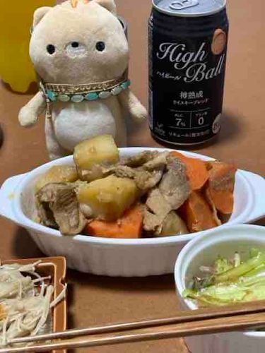 お久しぶりです。うちのママさんは今月から年末にかけて、お仕事が忙しくてお家でぐったりしています。
みんなのお家の人間さんもぬいぐるみさんも、身体に気をつけて寒いのを切り抜けましょうね✌️