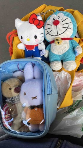 新入りぬいのお迎えに行ってきまーす！さむい🧊
