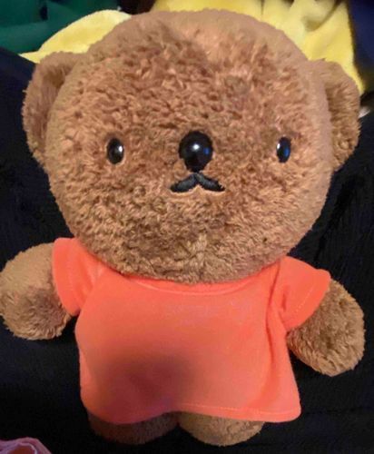 ボリスが家にきた🦭誕プレありがとうね😭
この子含め、ぬい達大切にします🙂‍↕️