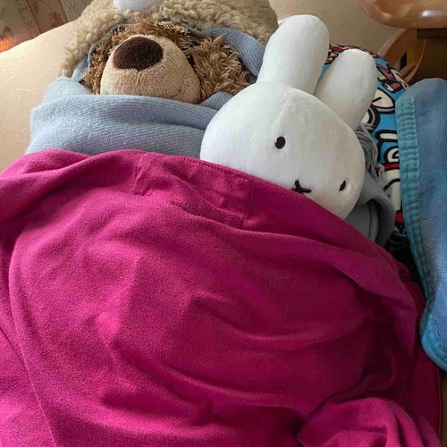 私はボリス抱いて寝るので、隣で寝てるモンブランにはミッフィー添えた🛌🐰🐻