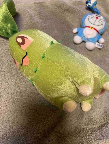 ふぁーーー私もぬい達も疲れた🦭