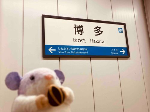 九州へGO！でちゅ🚄🧳