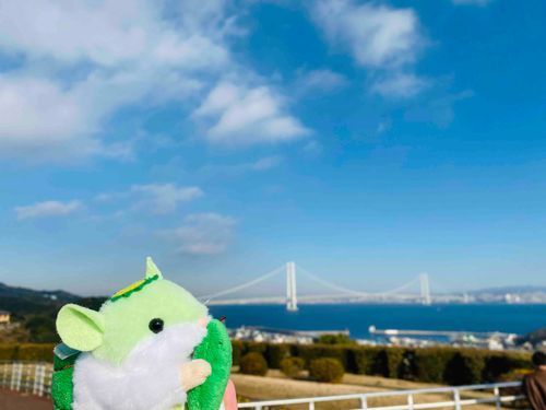淡路島！ちゅ🧅🏝️