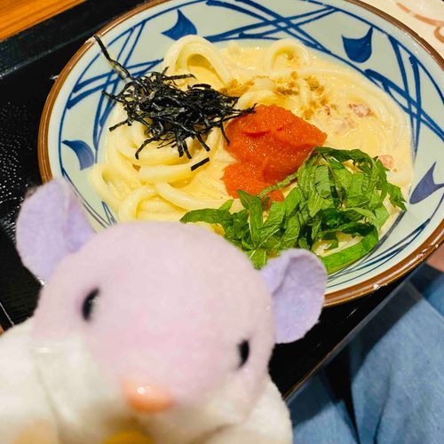 明太クリームうどん(並)！でちゅ🙆‍♀️🐢