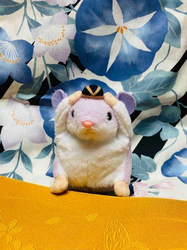 浴衣購入！でちゅ👘🏮