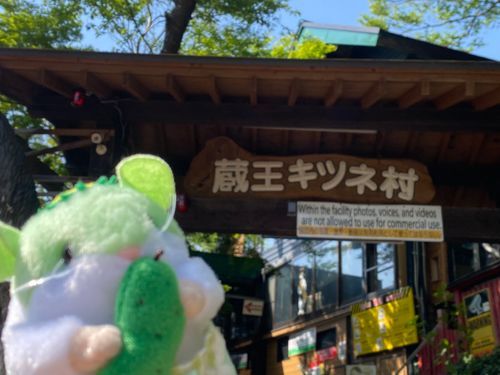 キツネ村！でちゅ🦊💦