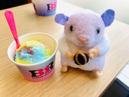 サーティワンでかいしんのいちげき！でちゅ🍨
