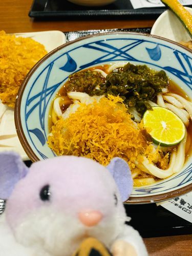 青唐うどん！でちゅ🙆‍♀️🐢