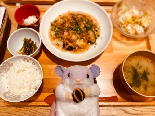 湯葉の…なんとか定食！でちゅ🍚🍆