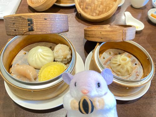蒸し活！でちゅ♨️🥟