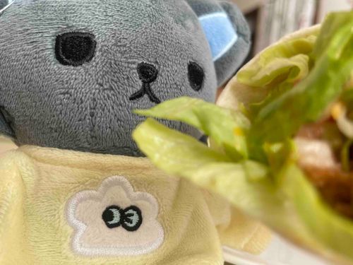たこす  (  ˙༥˙  ) ｳﾏｳﾏ