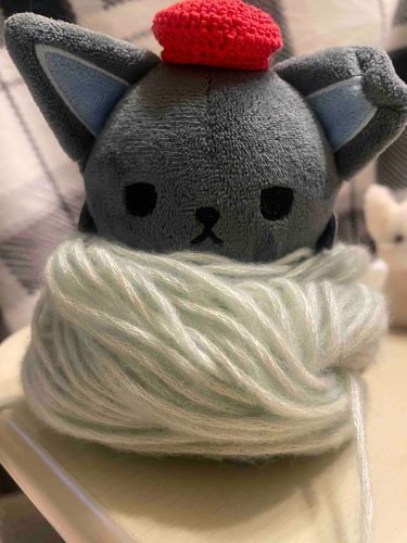けいと ぐるぐる 🧶
あったかいね