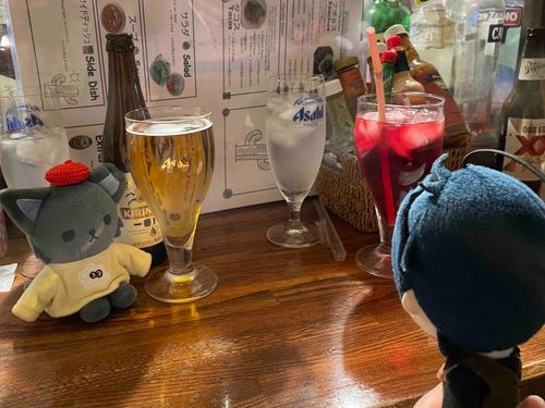 みーくん と ともだち に なったよ
さいしょ ちょっと きんちょう しちやった(˶ ⍤ ˶)ᐝ