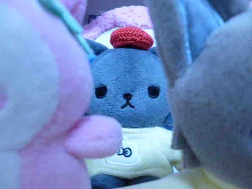 こんざつ してる ね 