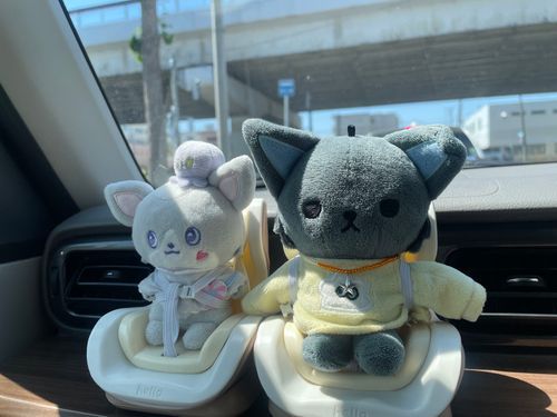 ドライブだよ〜‪🚙=꒱‧*‬‪