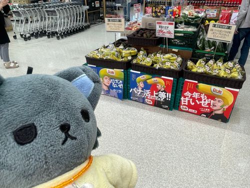 番長に会いに行ったよ！
かっこいいなあ‎( -᷅ ·̫ -᷄ )‪︎✨