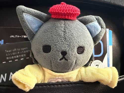 ひこうきのるー✈️✨
うれしい😆😆😆😆😆