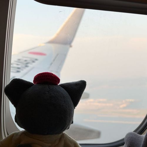 飛行機のってかえってきた✈️
